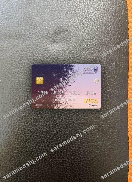 Qatar Development Bank visa classic card photolook front